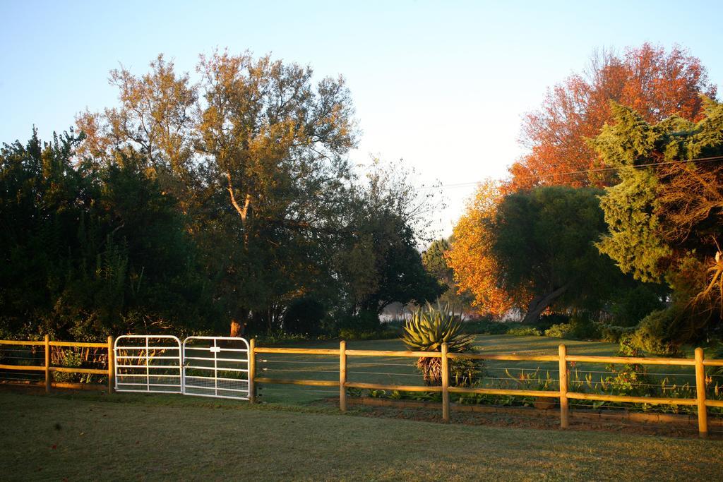 Sneezewood Farm Bed&Breakfast And Self-Catering Cottage Dundee Bagian luar foto